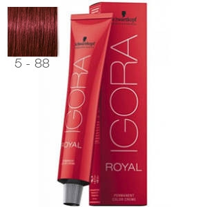 Tinte Igora Royal Castaño Claro Rojo Intenso 5-88 Schwarzkopf 60ml